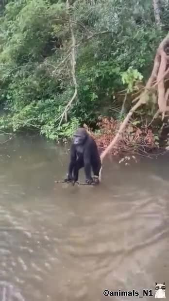 Подпишись 👉 https://vk.com/ykrasheniy_iz_kamny