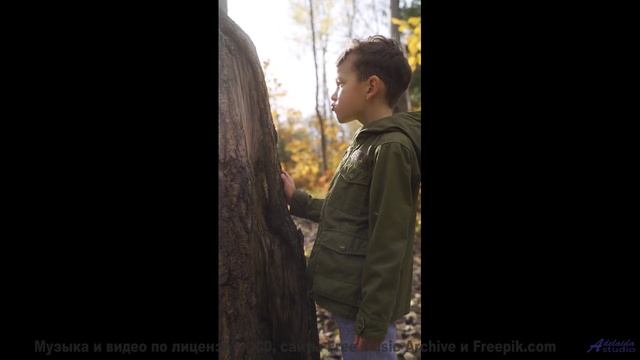 Эта музыка - ваш саундтрек для бесконечного путешествия вдвоём - I Feel You -- Soft and Furious -- F