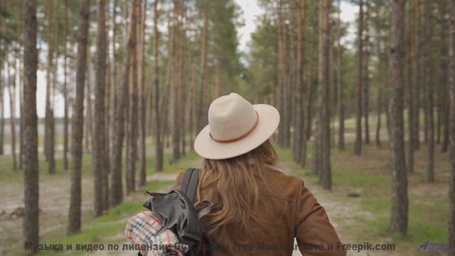 Эта мелодия - как мост между двумя душами... - Fly Down the Mountain, Sink into the Sky -- Ayla Nere