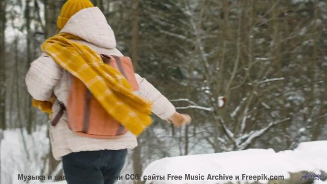 Леса дышат, когда играет эта потрясающая мелодия - Times 9 -- Independent Music Licensing Collective