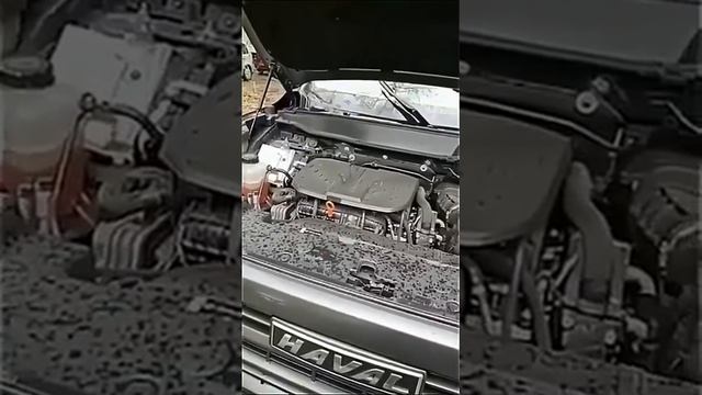 Жаль этого мужика