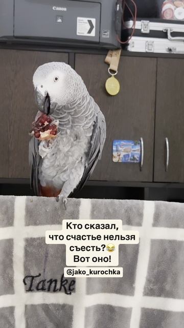 Кусно-кусно от Валерочки🥰