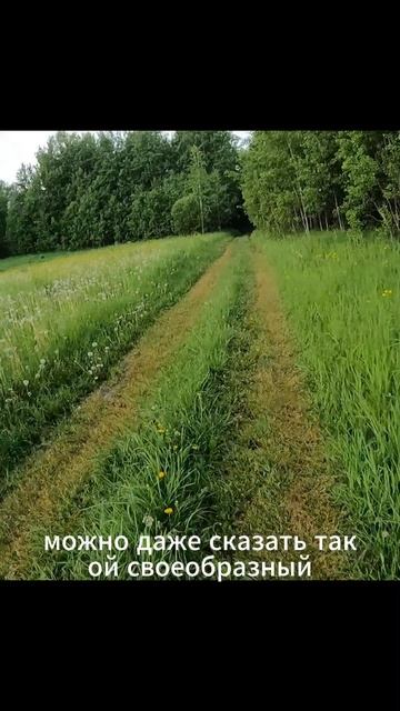 " Кислородная кома "