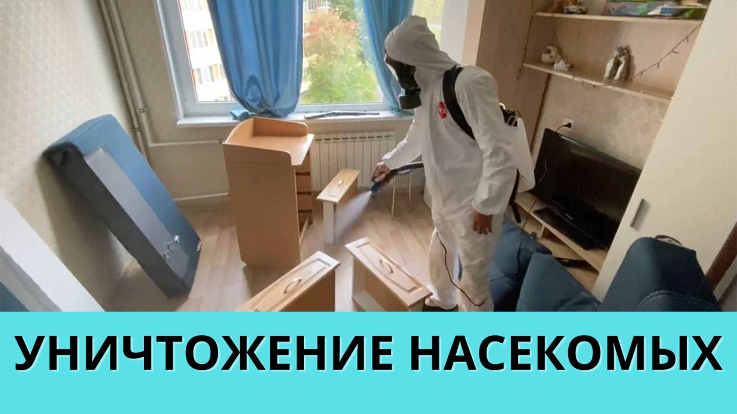 Обработка помещения от насекомых службой дезинсекции