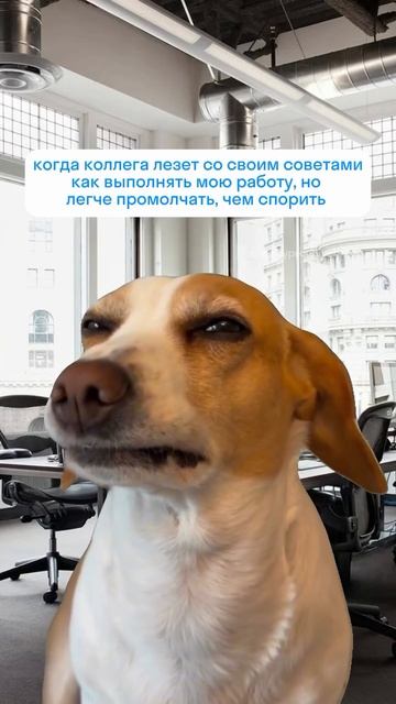 Приму к сведению...