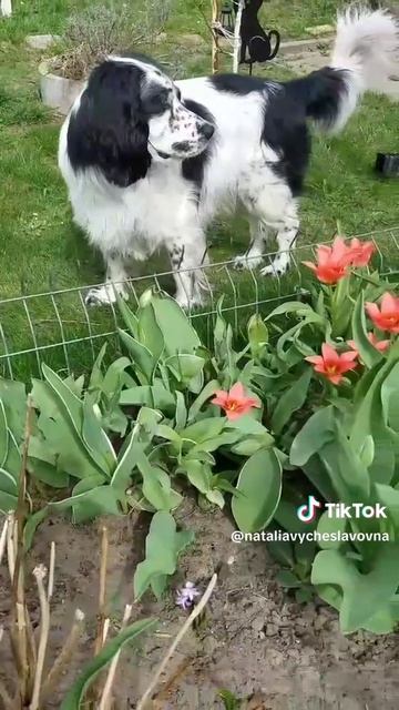Любитель природы...)))