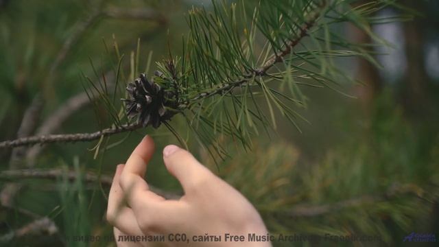 Слушайте её вместе - и почувствуйте, как сердца синхронизируются! - Performatative Consciousness --