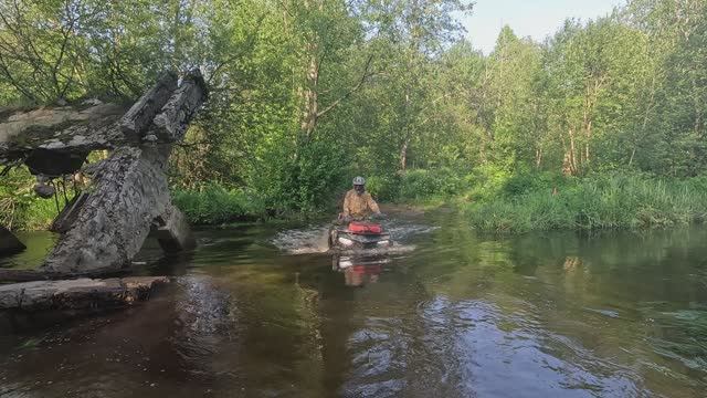 Синявино