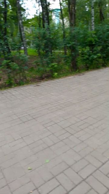 сиба ину--кто посмел?!!!!!