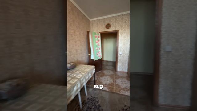 В продаже квартира в доме с эскортницами😎