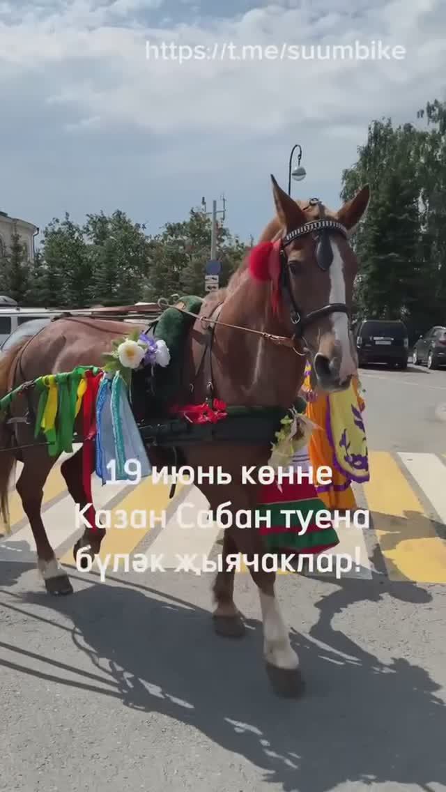 19 июнь сәгать 11 дә Казан Сабан туе алдыннан традицион  бүләк җыю йоласы үтәчәк.