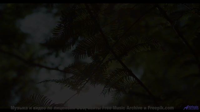 Звуки, которые оживляют пейзажи! - The Golden Hollows (ID 1395) -- Lobo Loco -- Christmas Inside