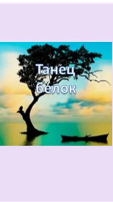 танец белок