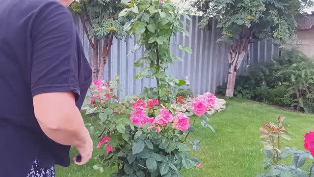 17.06.2025г.3 Часть//НЕ ХОЧУ ДОМОЙ ЗАХОДИТЬ🌛// ПРОСТАЯ СЕЛЬСКСЯ ЖИЗНЬ🏡
