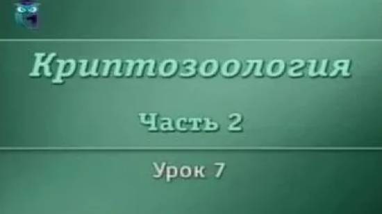 Криптозоология # 2.7. Реликтовые гоминиды. Йети из Гималаев