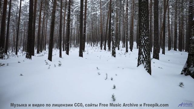 Звуки, создающие материю из пустоты - наука или магия - Illumination -- Siddhartha -- The Truth With