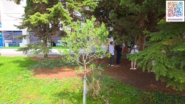 ГЕЛЕНДЖИК! ПЛЯЖИ ОПУСТЕЛИ! ТРАГЕДИЯ в НОВОРОССИЙСЕ! ЧП в СОЧИ! ЧТО у нас ПРОИСХОДИТ?