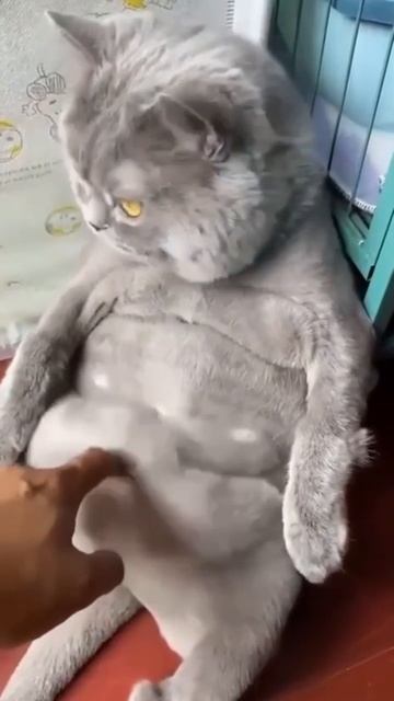 вот и лето пришло