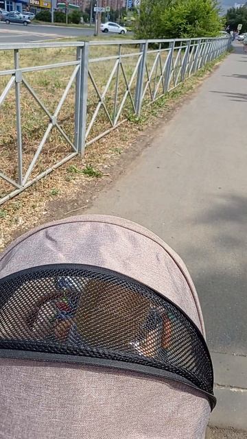 лень ходить