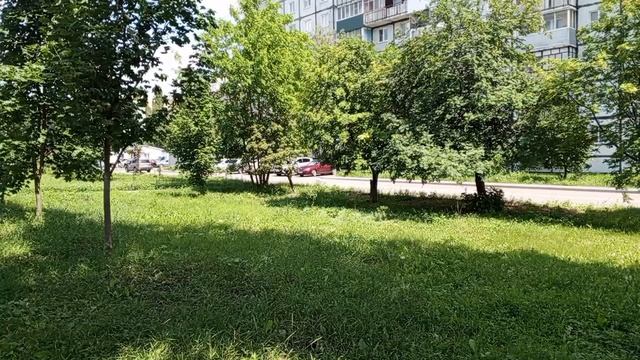 1000008823.mp4