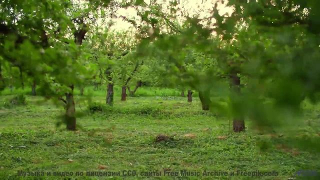 Леса и поля под этот трек - взрыв ощущений - Aspire -- Scott Holmes Music -- Corporate + Motivationa