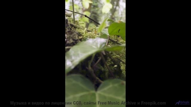 Музыка и виды вместе создают чистую магию - Aspire -- Scott Holmes Music -- Corporate + Motivational