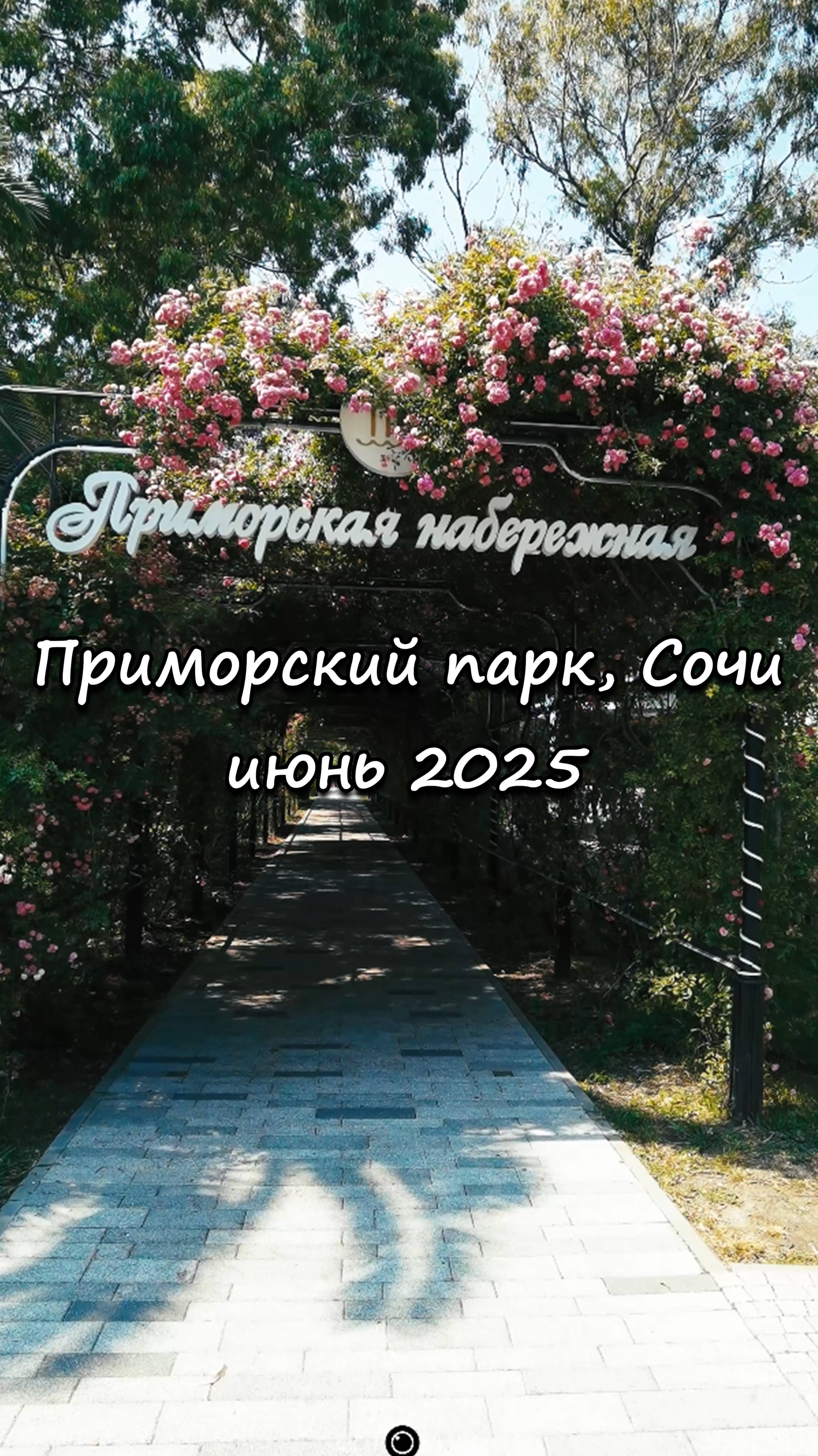 Приморский парк, Сочи. Июнь 2025