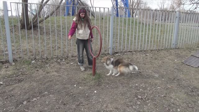 Лета 2пл 20апр 2019