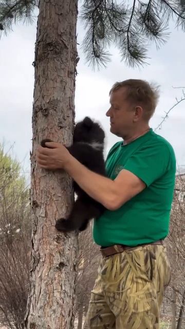 Ничего милее вы сегодня не увидите ☺️