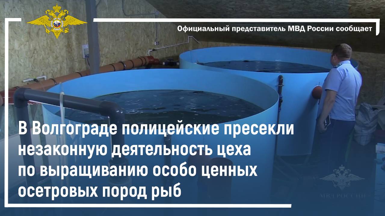 В Волгограде полицейские пресекли незаконную деятельность цеха по выращиванию рыб