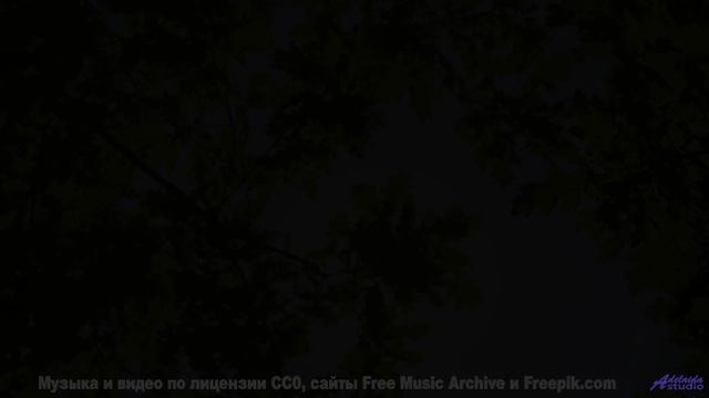 Звуки, которые пробуждают первобытные инстинкты - это дико! - Darker Shades of Wizardry -- The Polis