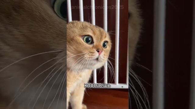 1000049286.mp4