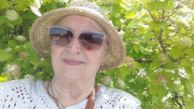 Искала я во тьме земной мою мечту. Но ты сказал- -Иди за мной на высоту-