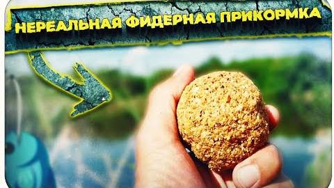 Прикормка для леща, карпа и карася — сделай сам «убийцу» всей мирной рыбы!