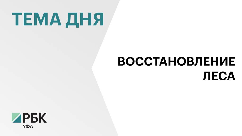 В Башкортостане план по искусственному лесовосстановлению выполнили на 112 %