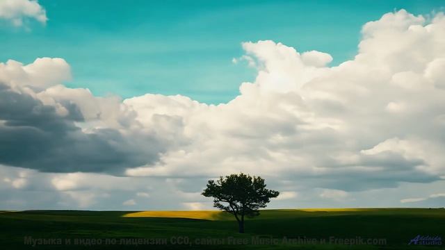 Звуки растекаются по венам вместе с видом на горы - Childhood -- HoliznaCC0 -- Only In The Milky Way