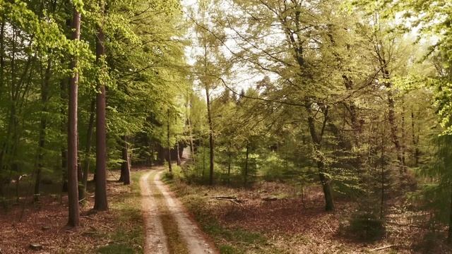 Pentatonix - Hallelujah