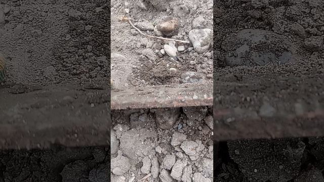 поиск сторинв