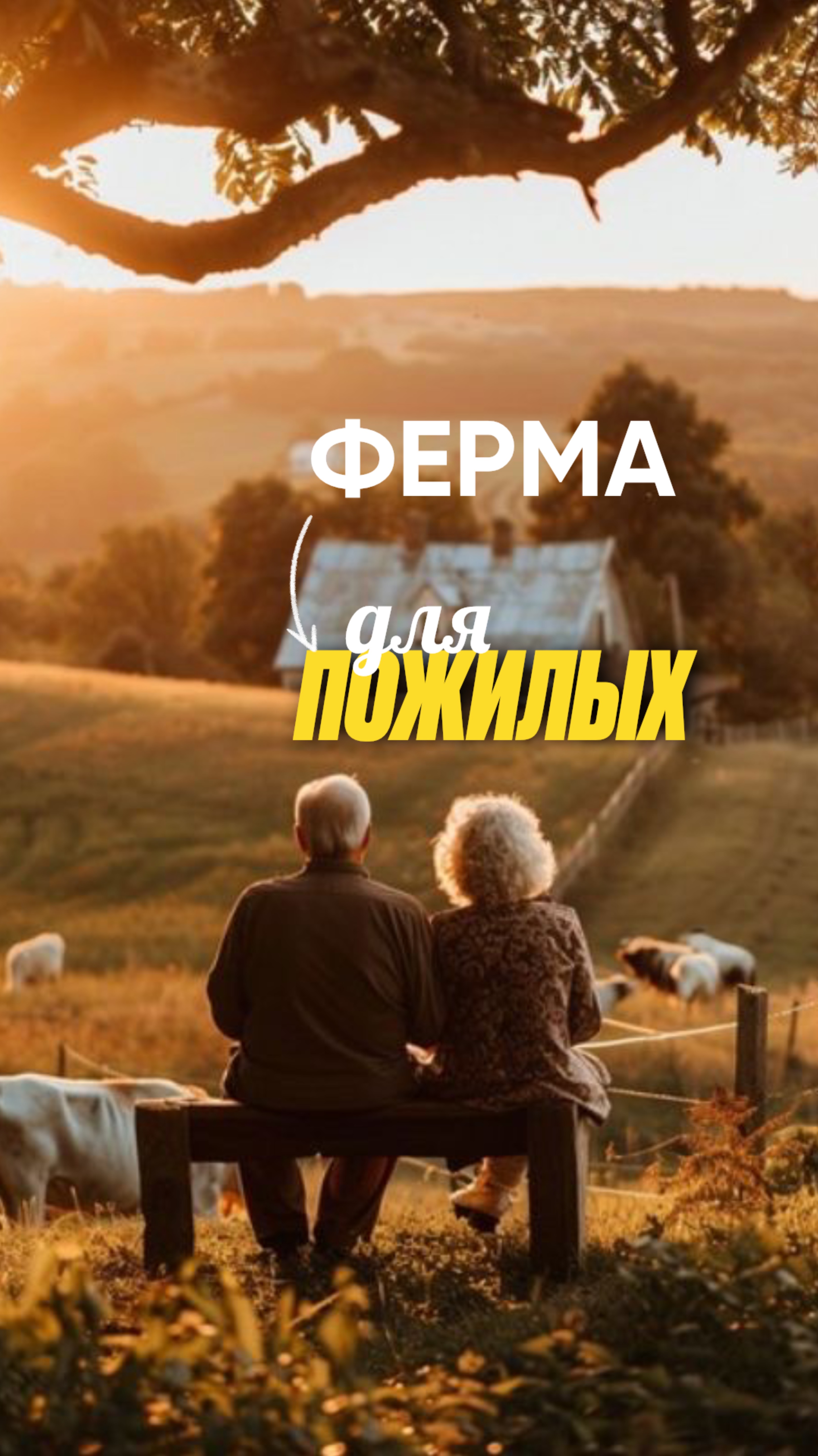 «Ферма вместо палаты»: как в Швейцарии пожилые живут на фермах