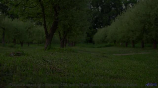 Деревья, которые ШЕПЧУТ твоё имя. - An Unwavering Will -- Nihilore -- Best of 2020-2024