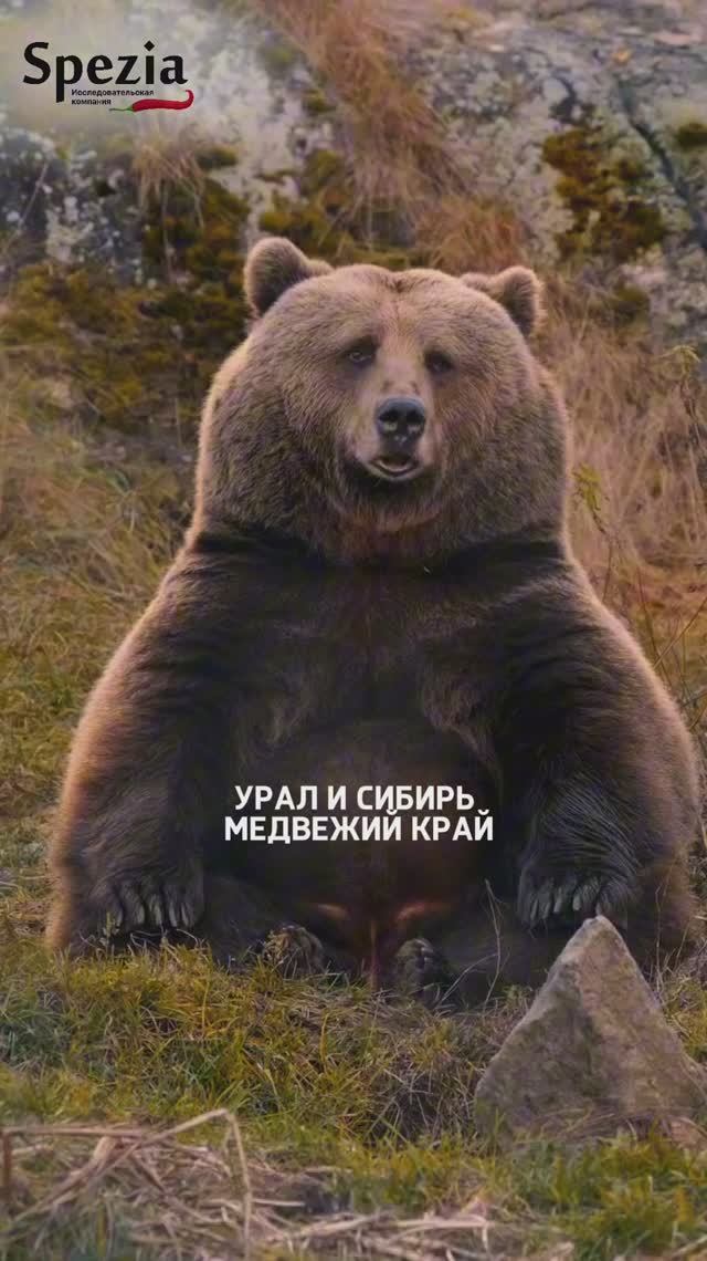Интересное исследование!