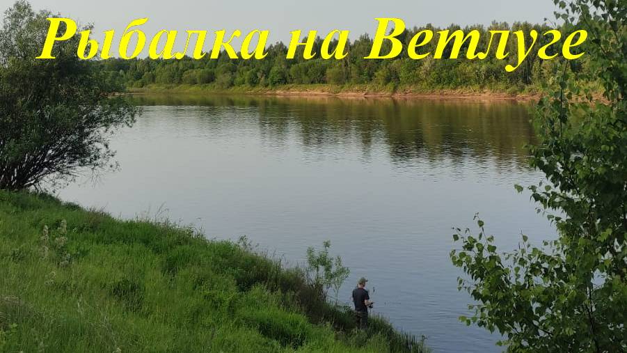 Рыбалка на Ветлуге. #Ветлуга