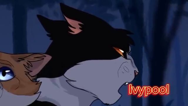 Быстролап коты воители