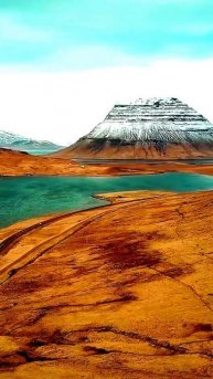 Камера сняла то, что случается раз в жизни