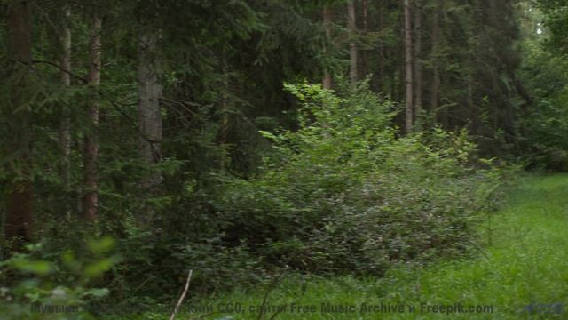 Вы не видели воду такой живой, пока не нажали Play! - Lay In The Long Grass With Me -- Hope and Soci