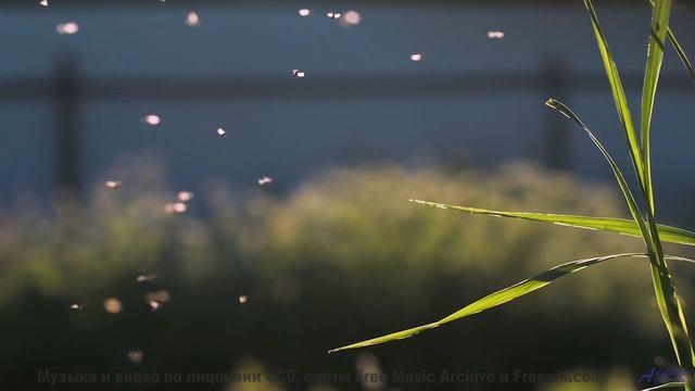 Море, которое НЕ ОТДАЁТ своих мертвецов. - Inside -- Vincent Augustus -- Nightlife for Morning Peopl