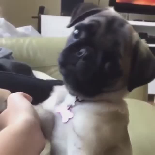 Взгляд...