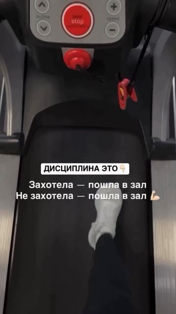 ДИСЦИПЛИНА – ЭТО...