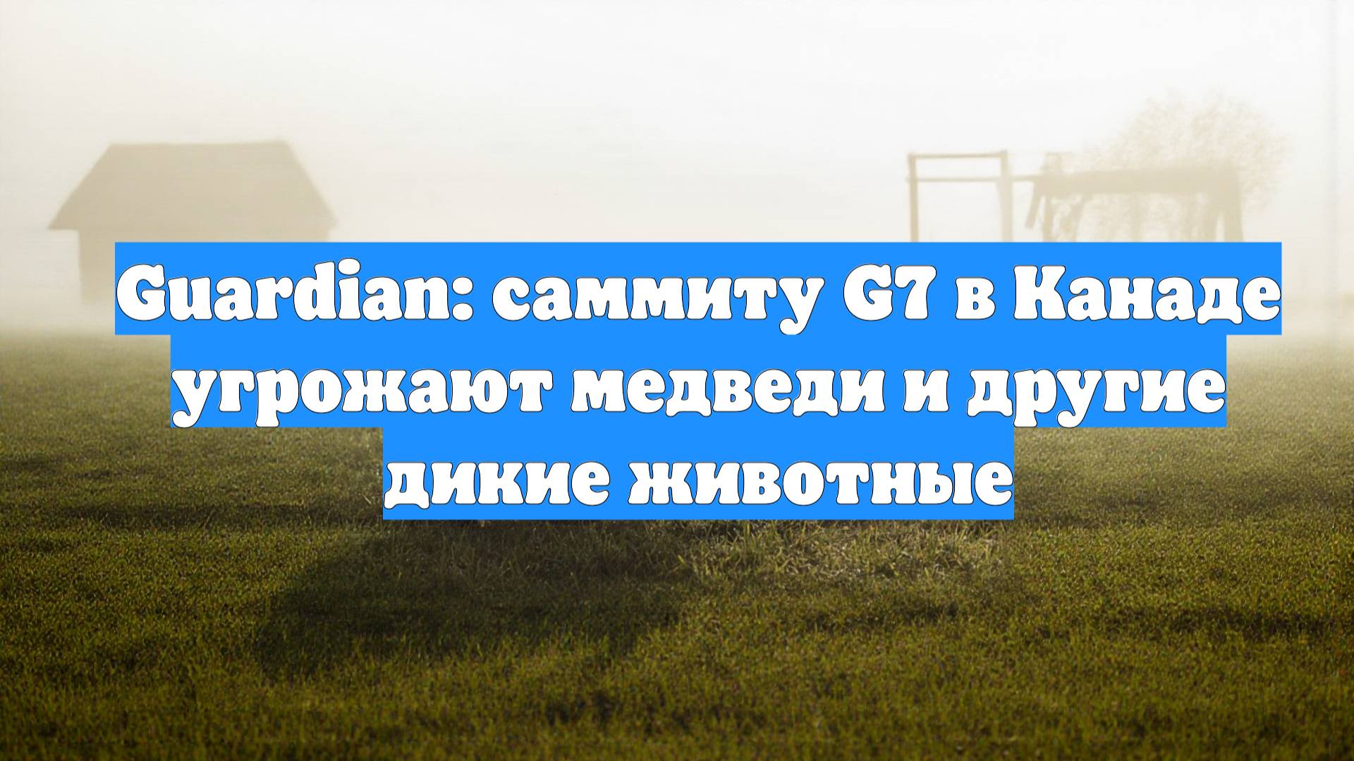 Guardian: саммиту G7 в Канаде угрожают медведи и другие дикие животные