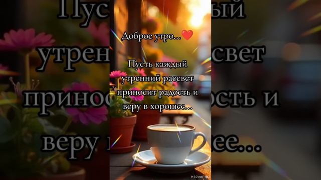 Доброе утро 💖Желаю чудесного дня 🌿🌸🌿